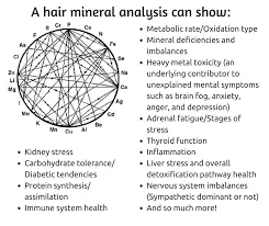 Example hair analysis results chart of mineral levels